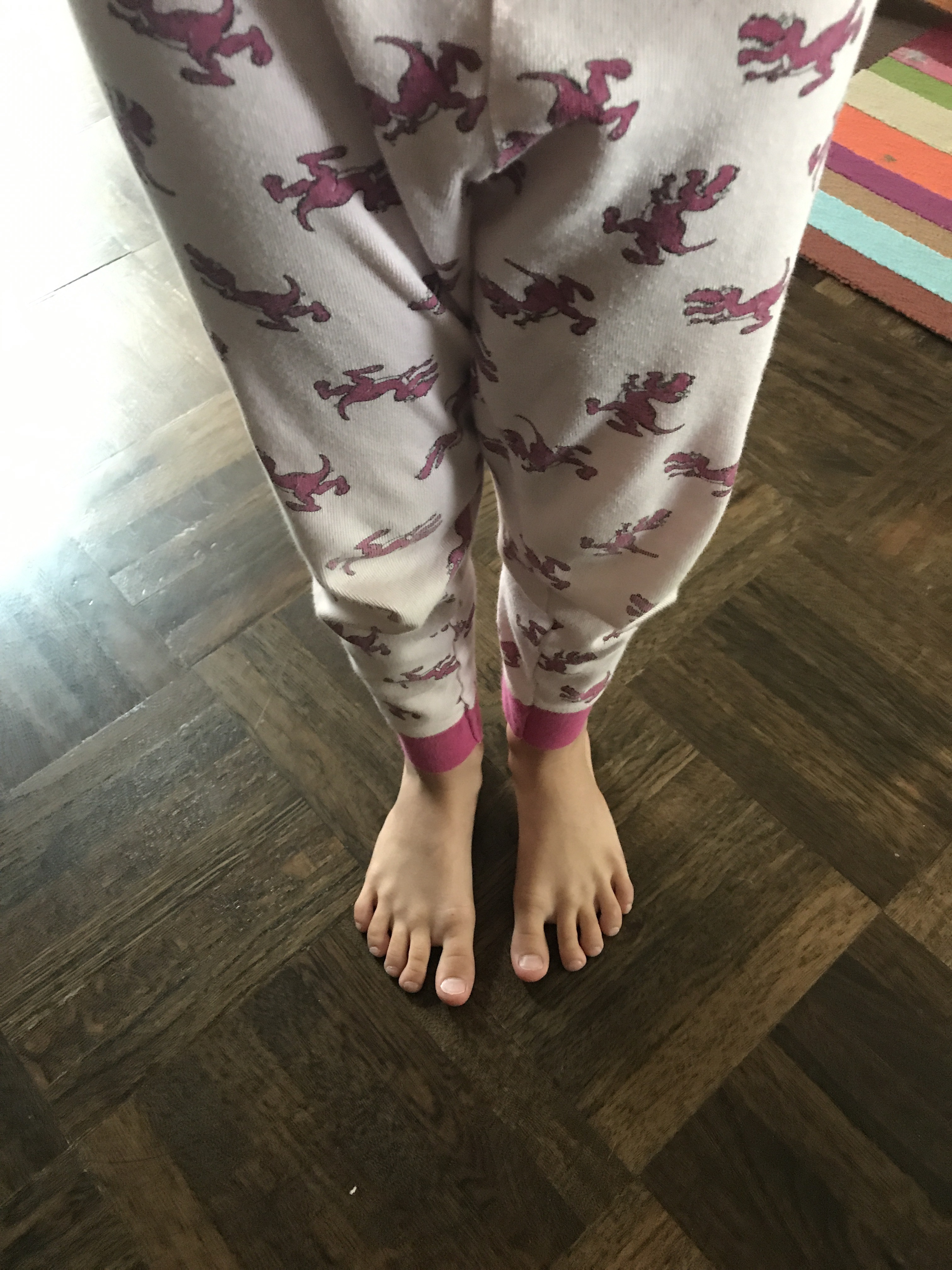 Smoky Morning Dino Jammies