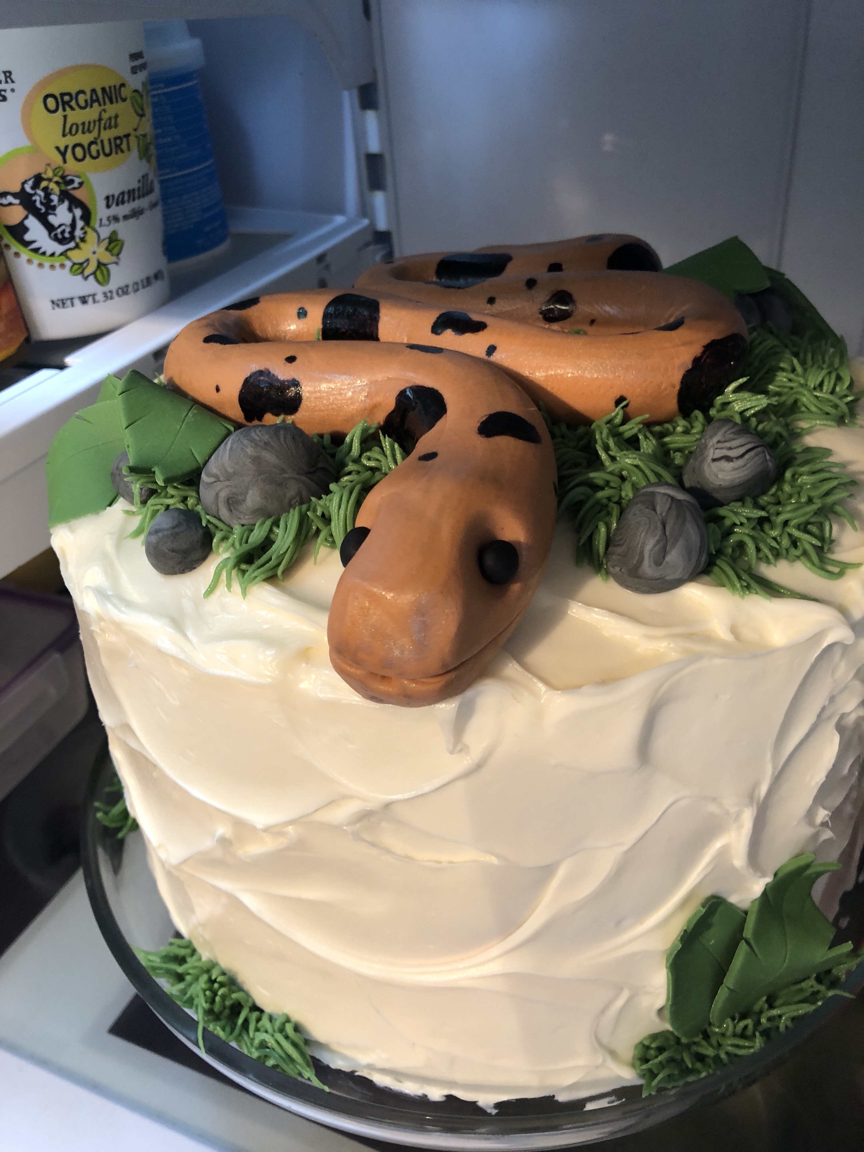 Snake Cake For A Snake Party