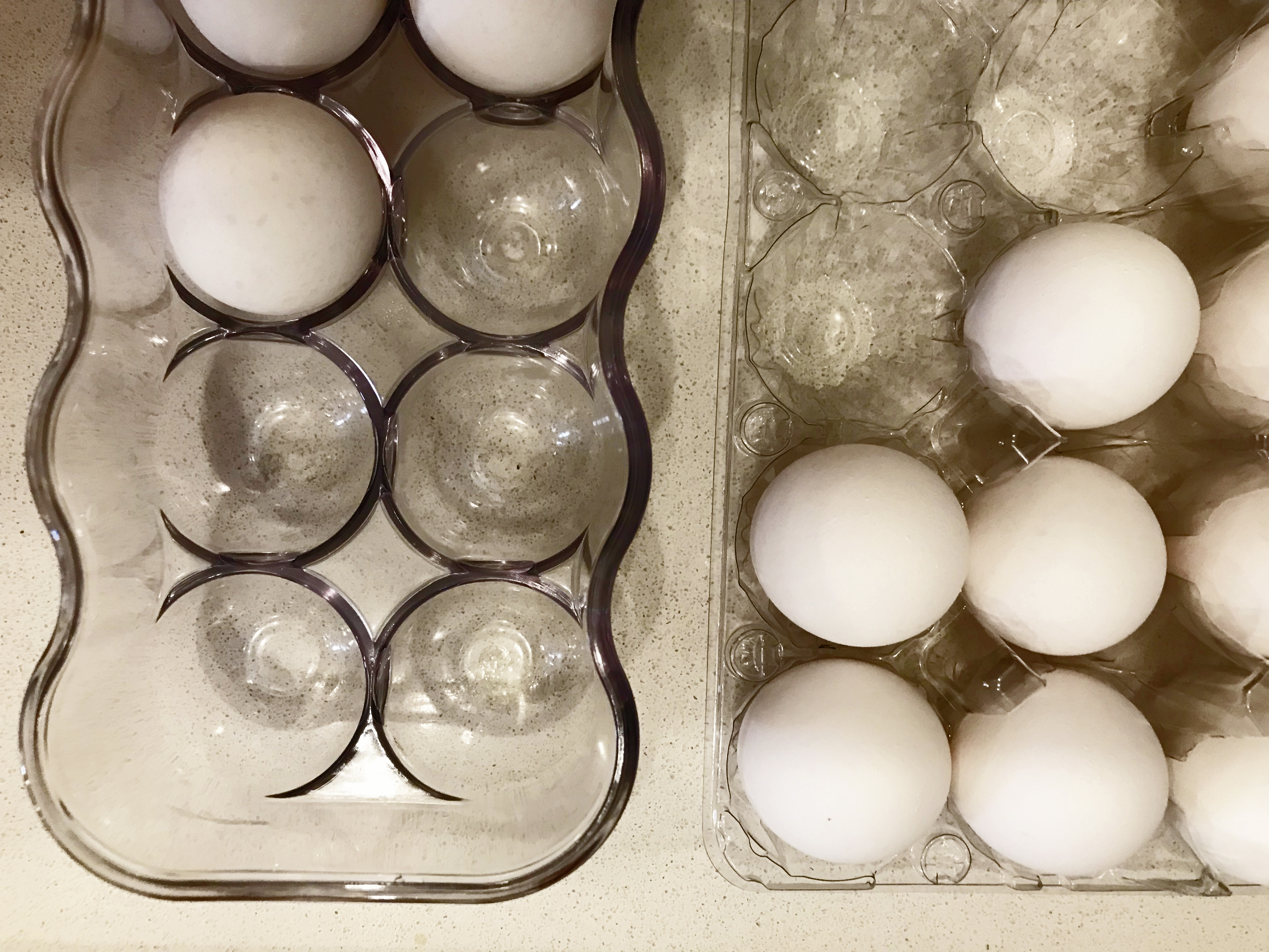 Transferring Eggs